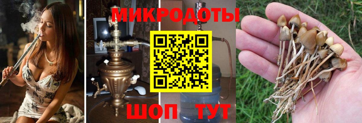 Галлюциногенные грибы мухоморы  Вход с VPN  Северск 